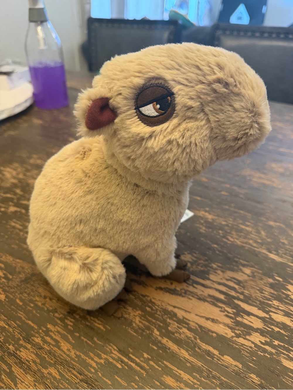Disney’s Encanto chispi the Capybara plush 9inch